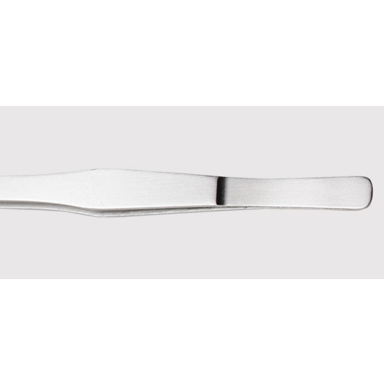 Nhíp trồng cây thủy sinh hồ cá bằng thép không rỉ kích thước 27cm