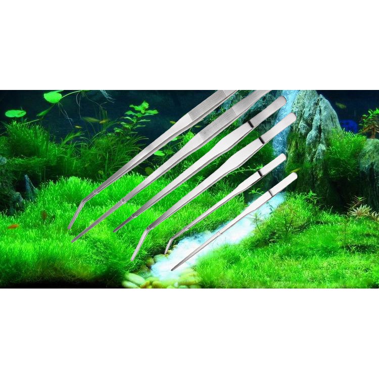 Nhíp trồng cây thủy sinh hồ cá bằng thép không rỉ kích thước 27cm