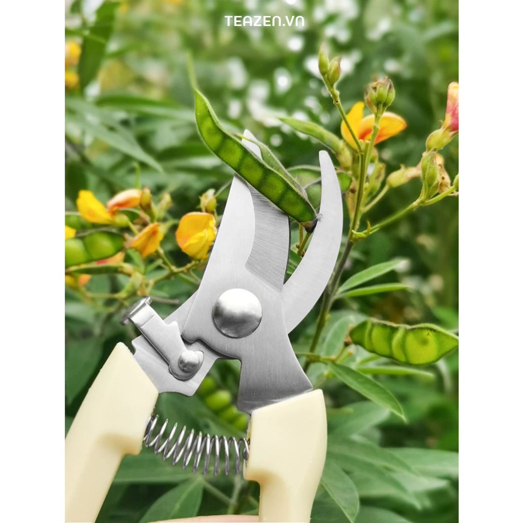 Ảnh nhỏ của Kéo cắt cành lưỡi thép không rỉ siêu sắc bén tay cầm lò xo cộng lực chắc chắn có chốt an toàn Kéo cắt cành lưỡi thép không rỉ siêu sắc bén tay cầm lò xo cộng lực chắc chắn có chốt an toàn