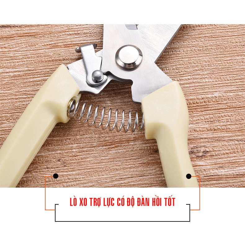Ảnh nhỏ của Kéo cắt cành lưỡi thép không rỉ siêu sắc bén tay cầm lò xo cộng lực chắc chắn có chốt an toàn Kéo cắt cành lưỡi thép không rỉ siêu sắc bén tay cầm lò xo cộng lực chắc chắn có chốt an toàn
